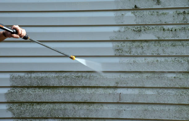 Best Roof Pressure Washing  in Marfa, TX